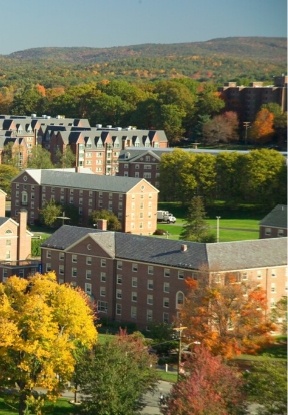 Aerial view of skyline